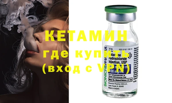 индика Алексин