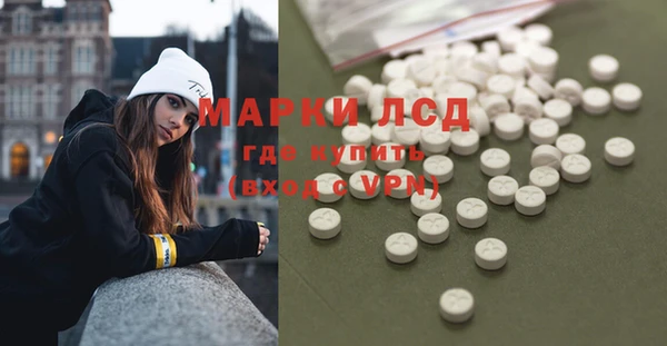 индика Алексин