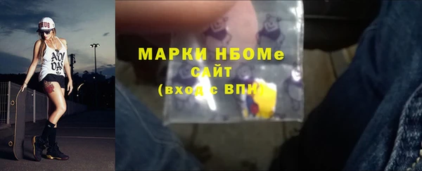 индика Алексин