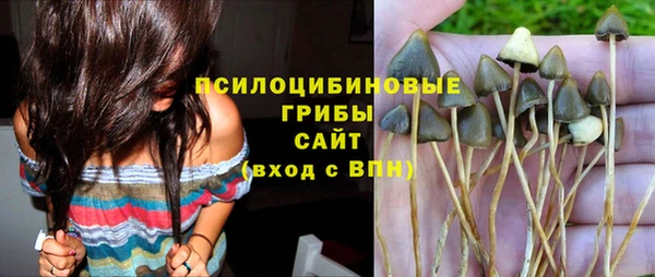 мяу мяу мука Алзамай