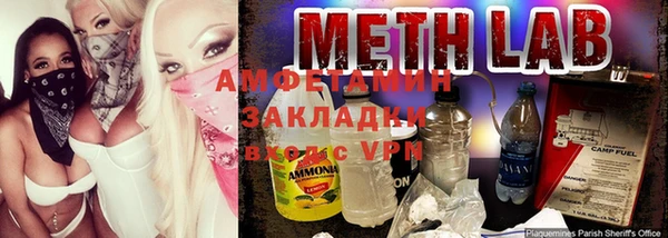 индика Алексин