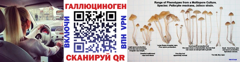 Галлюциногенные грибы ЛСД  где найти наркотики  Изобильный 
